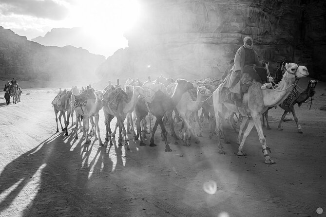 02 Days Petra , Wadi Rum and Dead Sea from Amman - Is $250.65 good value?