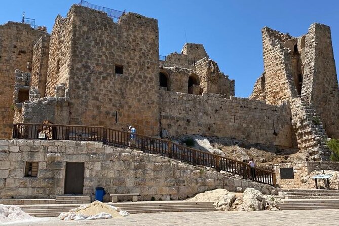 1 Day Tour to Amman Jerash and Ajloun castle - Who will enjoy this day most