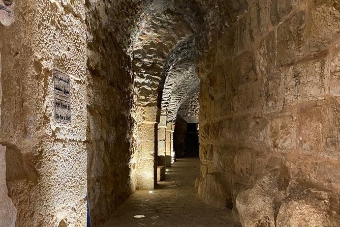 1 Day Tour to Amman Jerash and Ajloun castle - Walking through three hours of Roman Jerash