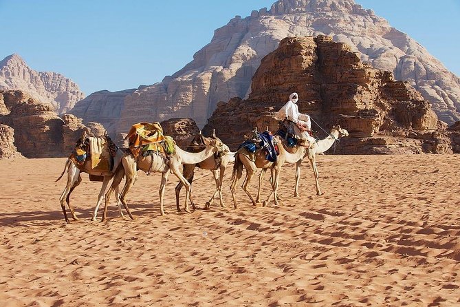 2 Day 1 Night Wadi Rum (Overnight) & Petra Shore Excursion - The flexible Petra-first option