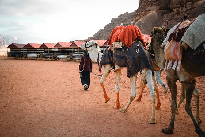 2-Day Jordan Guided Tour Petra, Wadi Rum and Dead Sea - Why this two-day route works