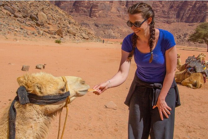 2 Day private tour from Amman to Petra_ Wadi Rum_ Aqaba Dead Sea - Should You Book It?