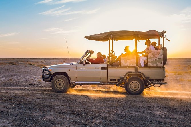 2-Day Private Tours in Jordan: Petra, Wadi Rum, and Dead Sea from Amman - Should you book it?