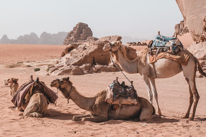 2 Days Tour | Petra, Wadi Rum & Dead Sea | Accommodation included - The Dead Sea on the road back to Amman