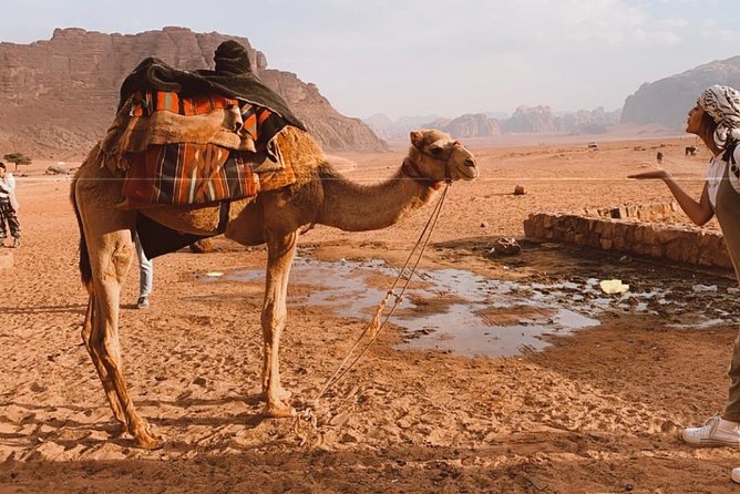 2 Hour Jeep Tour - Wadi Rum Desert & Canyon - A fast ride into Wadi Rum’s red desert