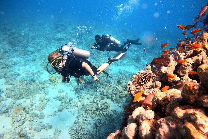 2-Hour Private Scuba Experience in Aqaba - Photos and videos without carrying a camera