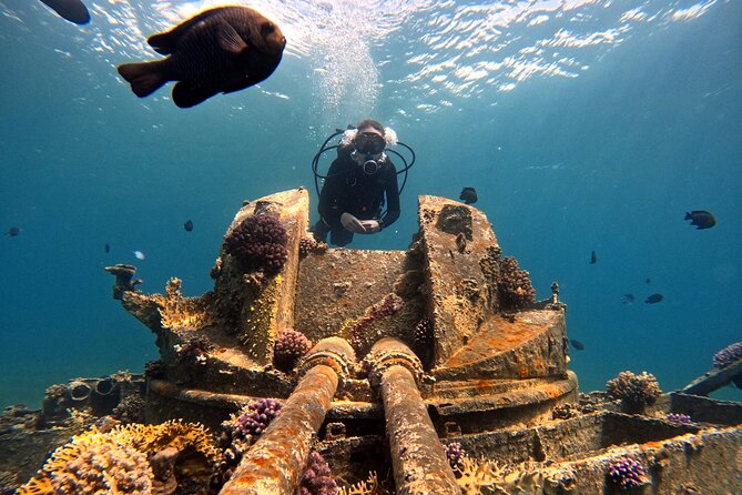 2-Hour Private Scuba Experience in Aqaba - Practical planning for a smooth morning or afternoon