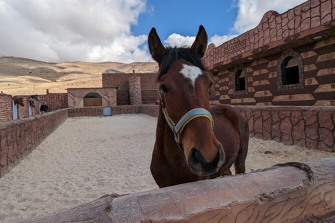 2 Hour Trail Ride to Little Petra-Morning or Sunset - Safety, fitness, and the limits of the ride