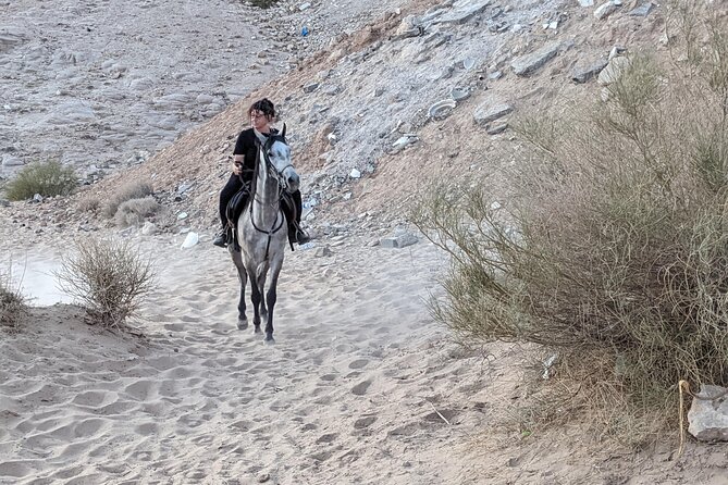 2 Hour Trail Ride to Little Petra-Morning or Sunset - Who will enjoy this Little Petra ride most