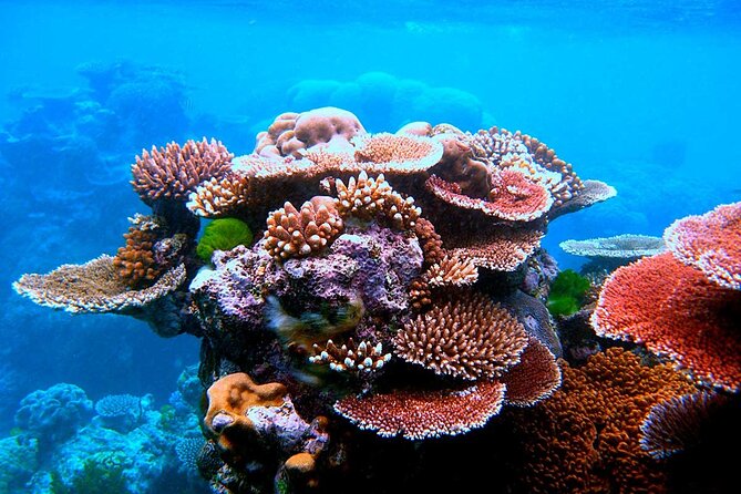 2 To 5 Hours Glass Bottom Boat Private Tour At Read Sea - What the 2 to 5-hour timing means