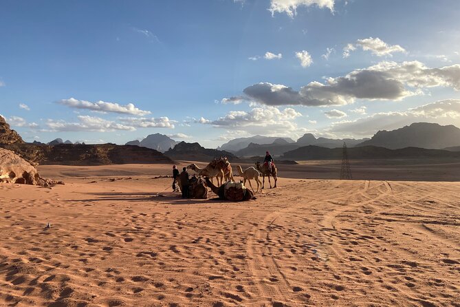 3-Day Group Tour to Petra, Wadi Rum and northern Jordan from Amman/Dead Sea - Who will get the most from this tour