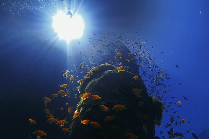 3-Day Open Water Scuba Diving Course in Aqaba - Is $500 a fair price?