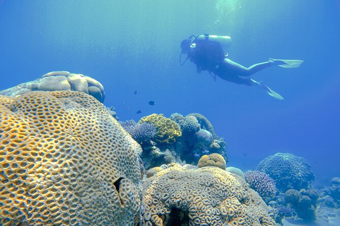 3-Day Open Water Scuba Diving Course in Aqaba - What to arrange before you arrive