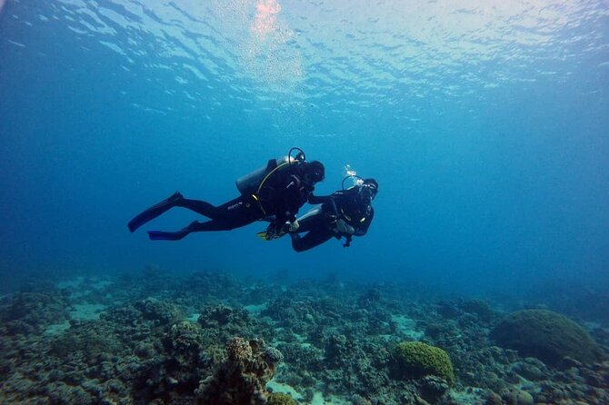 3-Day Open Water Scuba Diving Course in Aqaba - Who should book this course?