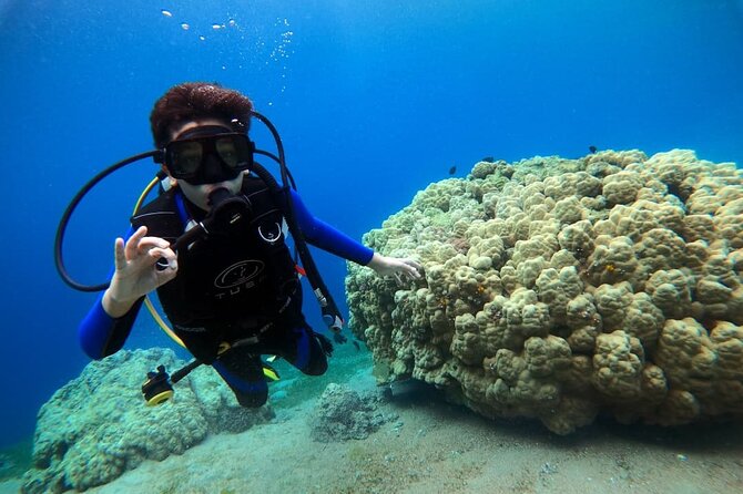 3-Day Open Water Scuba Diving Course in Aqaba - Day two: building control underwater
