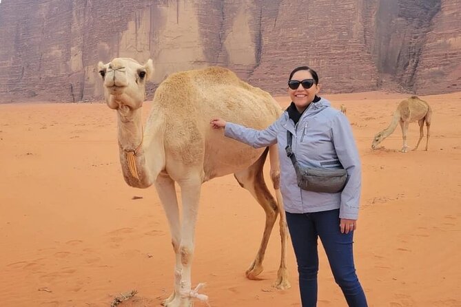 3-Day Tour from Amman: Jerash, Ajloun, Petra, Wadi Rum & Dead SEA - Price, inclusions, and the real value