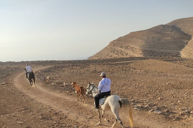3 Hour Horse Riding Adventure around the Petra Area - Bedouin tea and the sunset finish