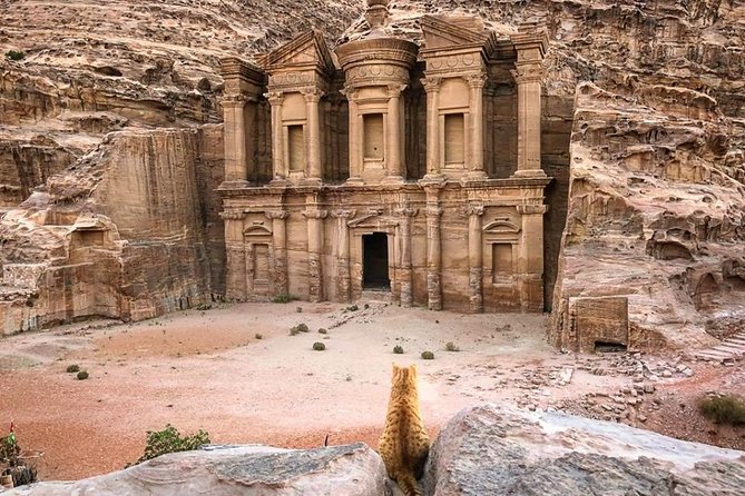 3Days Tour Petra & Wadi Rum from Amman, Dead Sea OR Amman Airport - What the private driver adds