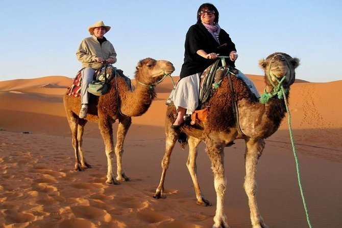 7-Day Private Tour, Explore Jordan's Glamour - Returning to Amman and leaving Jordan