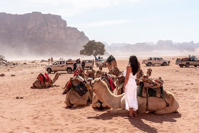 7-Day Super Luxury Tour By Toyota Land Cruiser - Six hours inside Petra