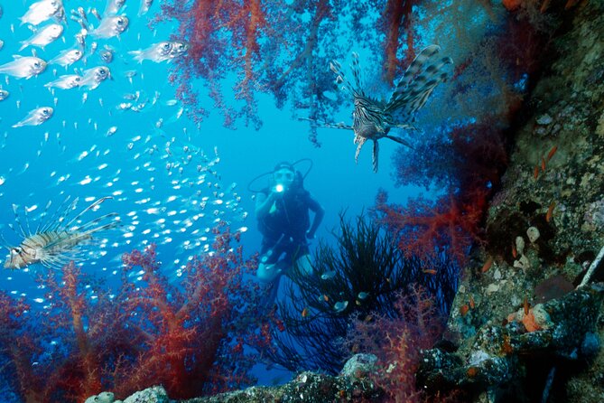 7 Days Highlight Of Jordan - Day 5: a full day by the Red Sea in Aqaba
