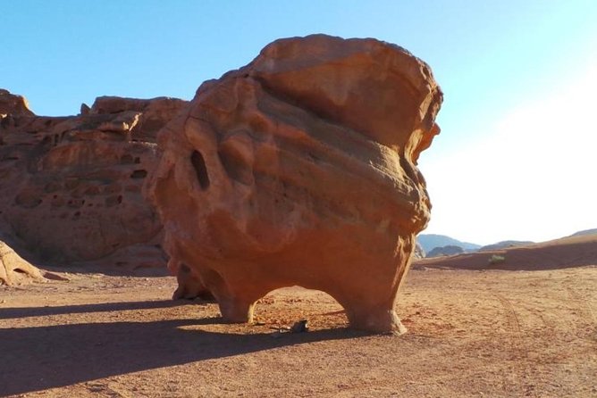 8-Day Private Tour, Jordan's Ability - Customizable - Desert castles and the Dead Sea