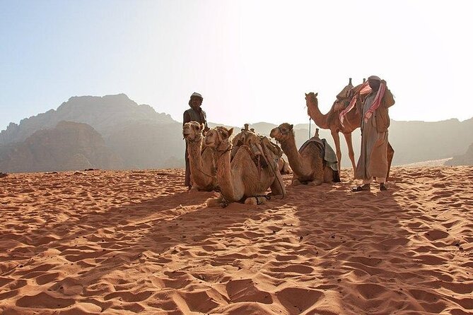 8 Days Jordan Tour: Petra, Wadi Rum, Aqaba - Aqaba gives you time to slow down