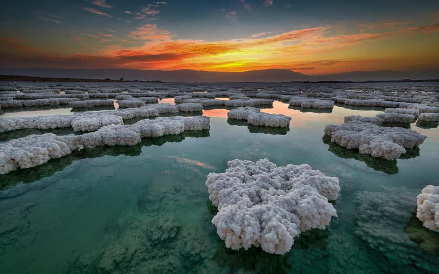 Amman: Day Trip to Madaba, Mt. Nebo, Baptism Site & Dead Sea - Your driver can shape the whole day