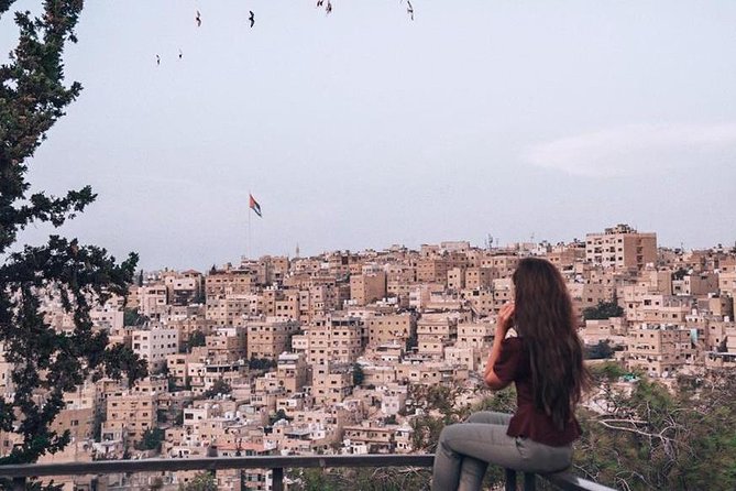 Amman Private City Tour & more. - The private car makes a real difference