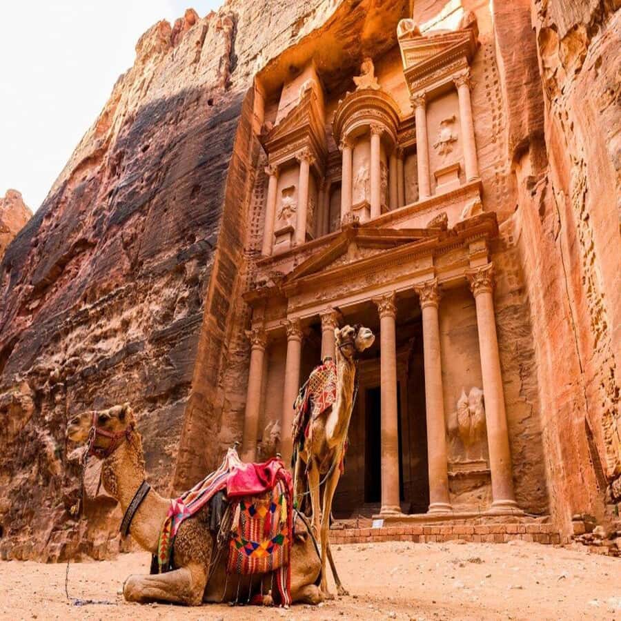 Amman Private Tour Petra Wadi Rum And Dead Sea 2day Bubble - Why this two-day route works