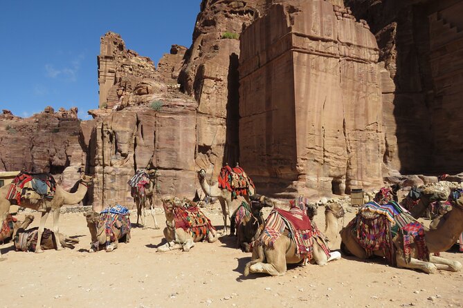 Amman to Petra round trip - Who should book this Petra day trip