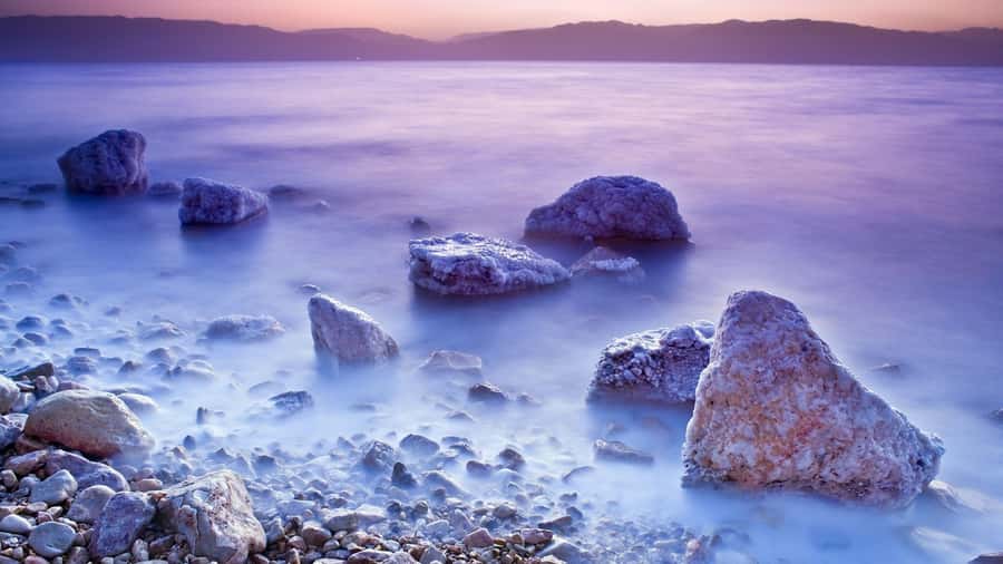 Amman to Petra Wadi Rum Dead Sea 2 or 3 Days Private Tour - What the driver adds