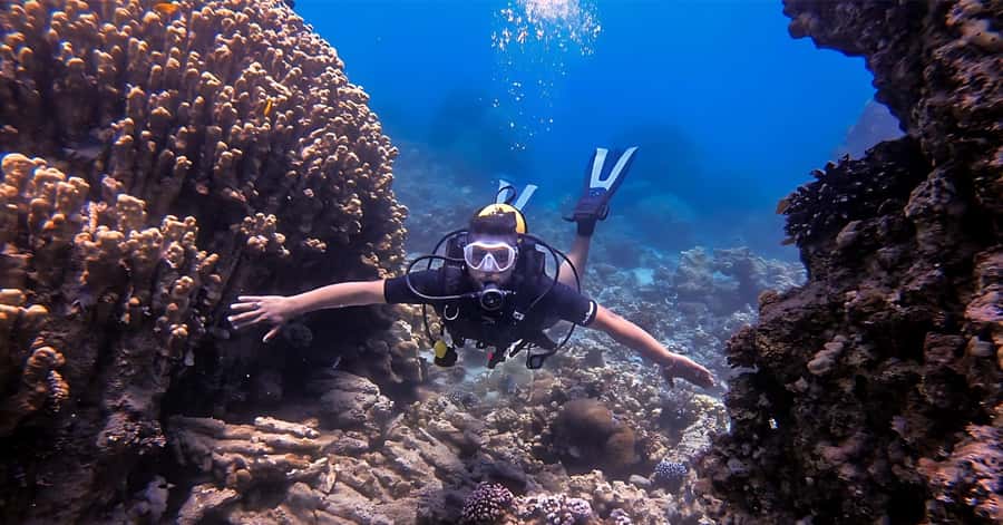 Aqaba Dive Adventure: Explore The Red Sea On A Tour - Why Aqaba’s Red Sea is a good place to start