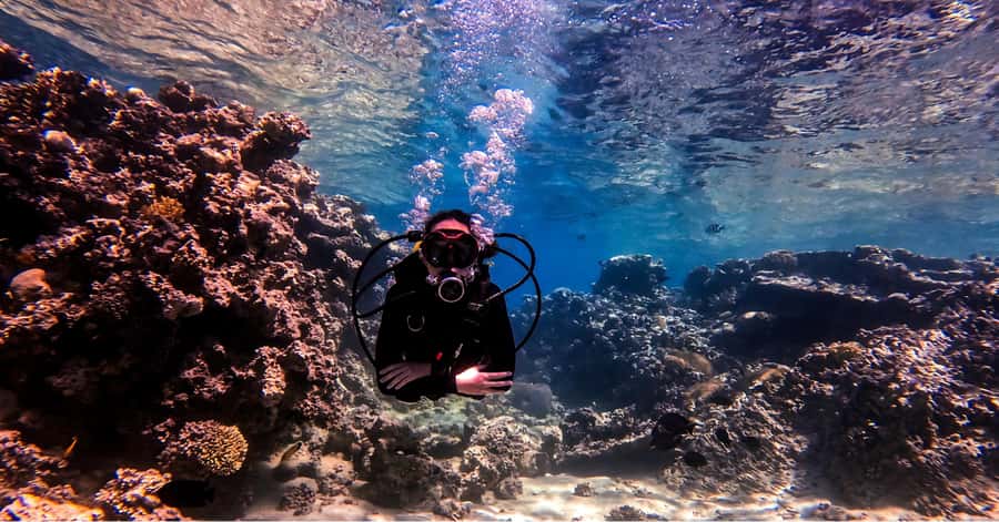 Aqaba Dive Adventure: Explore The Red Sea On A Tour - Is $51 per person good value?