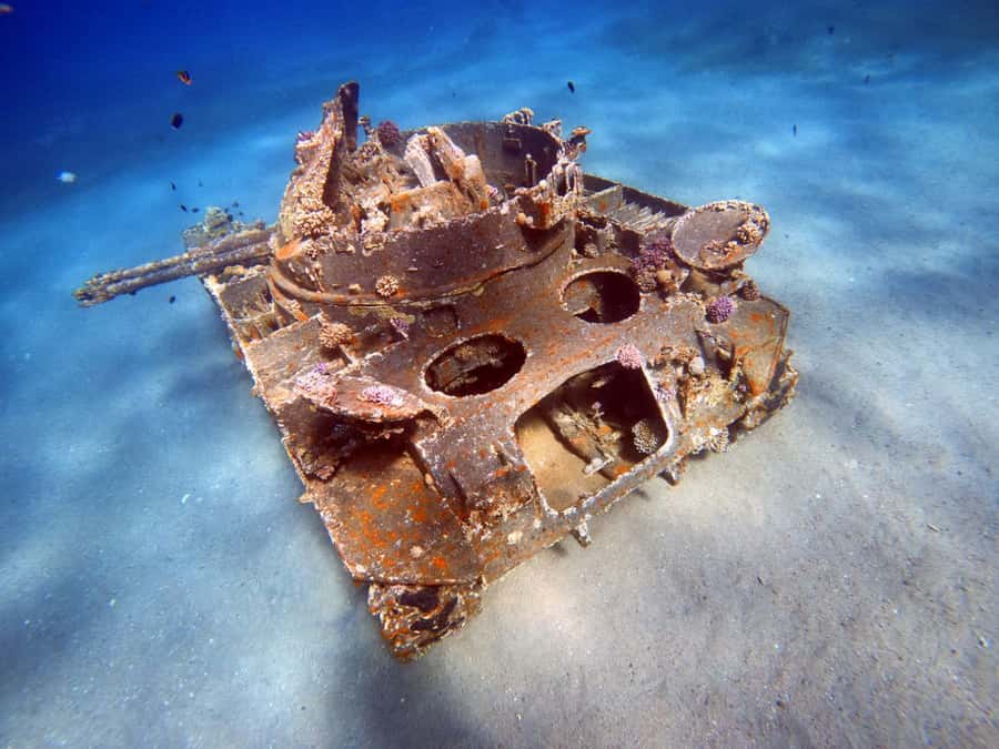 Aqaba: Private Red Sea Diving for Beginner or Experienced - Key points before you book