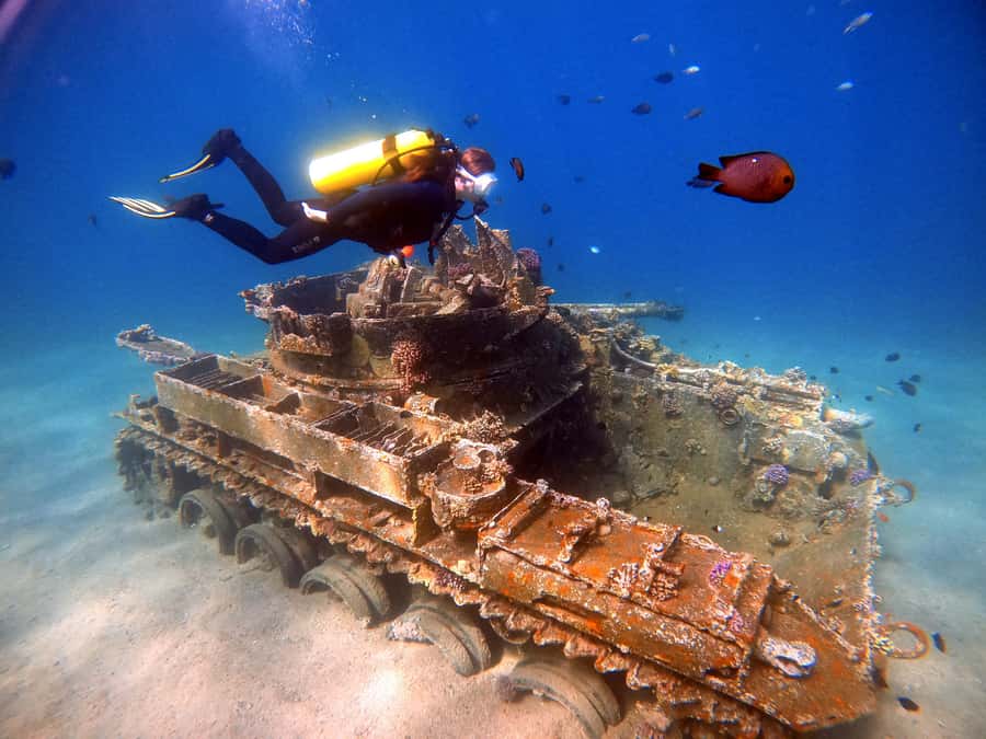 Aqaba: Private Red Sea Diving for Beginner or Experienced - Why Aqaba is a smart place to try scuba