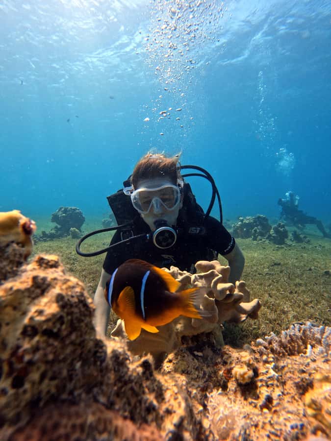 Aqaba: Private Red Sea Diving for Beginner or Experienced - About 35 to 45 minutes beneath the surface