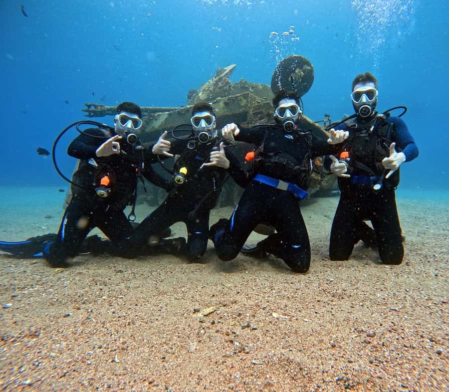 Aqaba: Private Red Sea Diving for Beginner or Experienced - Coral, fish, and wrecks rather than a staged show