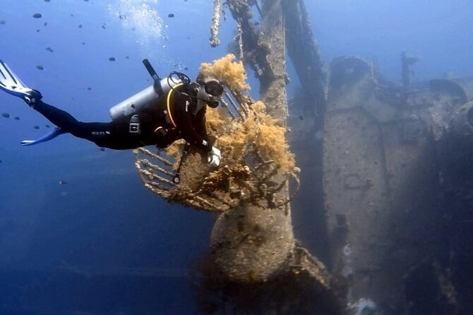 Aqaba Private Scuba Diving Activity with Pick Up - How the instructors shape the experience