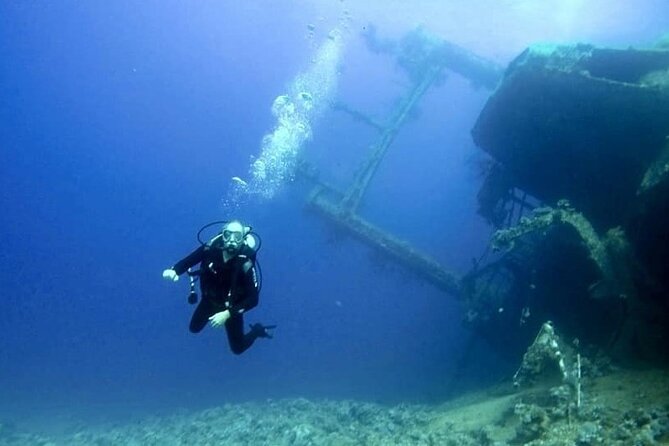 Aqaba Private Scuba Diving Activity with Pick Up - Who should book this Aqaba scuba activity?