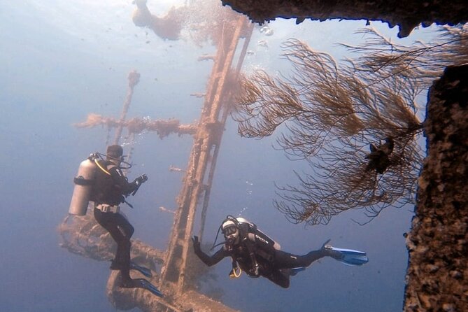 Aqaba Private Scuba Diving Activity with Pick Up - What a three-hour outing looks like