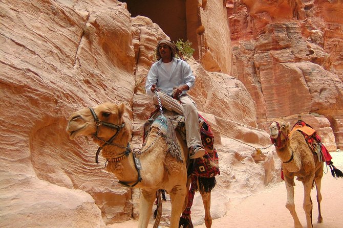 Aqaba Shore Excursion: Private Petra Sightseeing Tour with Lunch - Walking through the Siq to the Treasury