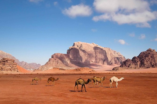Best of Jordan Tour Amman Petra and Dead Sea with Camping at Wadi Rum - Petra, the five-hour centerpiece