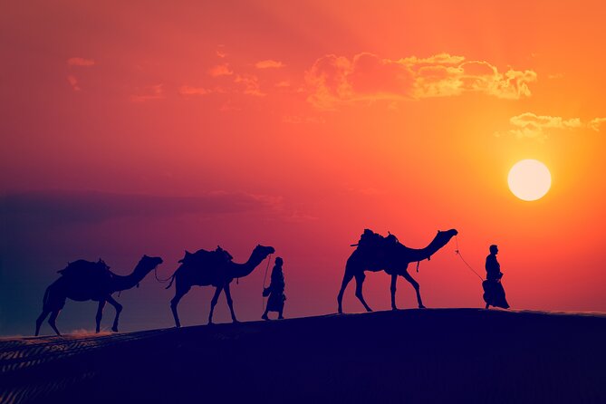 Best of Wadi Rum | Full day jeep tour + overnight in bedouin camp | Pack all-in - Sand dunes and open desert by jeep