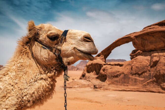 Best of Wadi Rum | Full day Jeep tour + Sleep under the stars | Pack all-in - Red sand dunes and open desert views