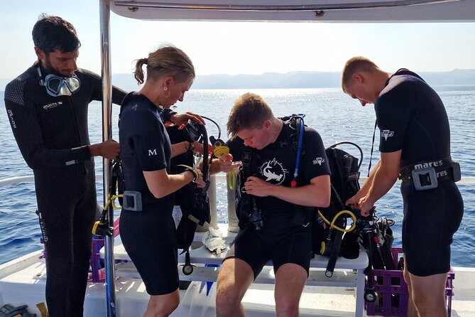 Boat Dive 2 Guided Dives with Lunch Included wreck dive&reef dive - Key points at a glance