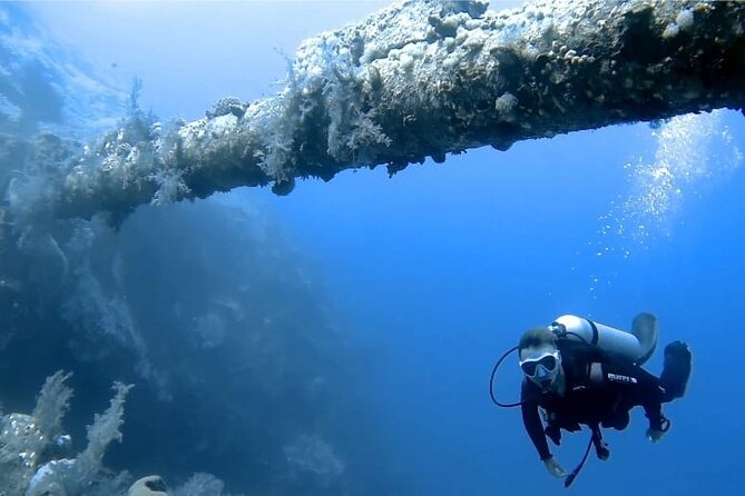 Boat Dive 2 Guided Dives with Lunch Included wreck dive&reef dive - Two Aqaba sites in one boat outing