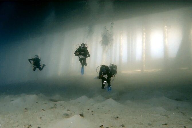 Boat Dive 2 Guided Dives with Lunch Included wreck dive&reef dive - Coral gardens and the wreck site