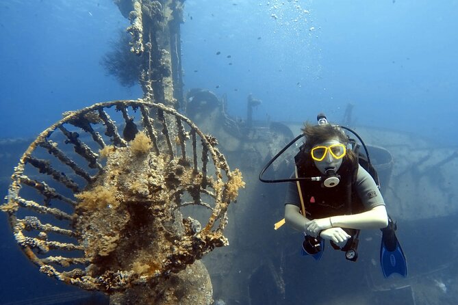 Boat Dive 2 Guided Dives with Lunch Included wreck dive&reef dive - Group size, comfort, and the feel of the day