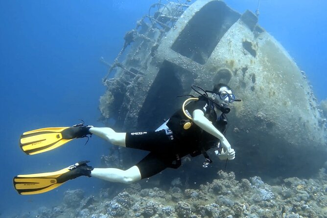 Boat Dive 2 Guided Dives with Lunch Included wreck dive&reef dive - Protecting Aqaba’s coral